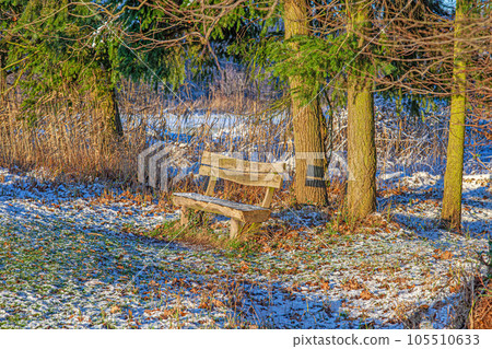 Image of a wooden bench in a winter forest Image of a small river course in a forest with reflections in the evening light Image of a wooden bench in a winter forest Image of a small river course in a forest with reflections in the evening light 105510633