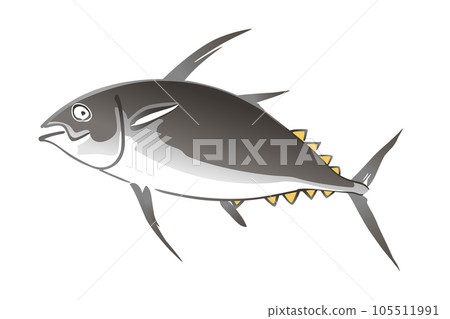 Tuna, a saltwater fish, in the style of Japanese watercolor painting with wide brush strokes. After an illustration in the Japanese book Choju ryakugashiki, published 1868 in the Meiji period. Vector. 105511991