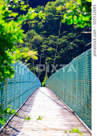 秩父湖綠樹成蔭的小戶川吊橋 秩父湖綠樹成蔭的小戶川吊橋 105512665