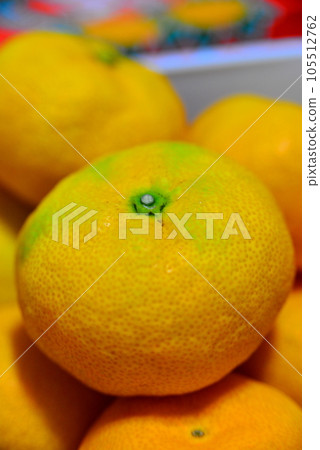 House oranges House oranges 105512762
