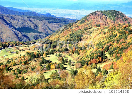 山田牧場秋葉 105514368