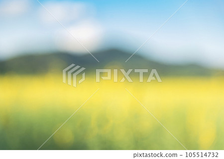 Blur background green park garden nature bright sunny forest. Blurry outdoor park in spring time glowing shinny day template with sunlight bokeh. Abstract blurred background banner copy space. Blur background green park garden nature bright sunny forest. Blurry outdoor park in spring time glowing shinny day template with sunlight bokeh. Abstract blurred background banner copy space. 105514732