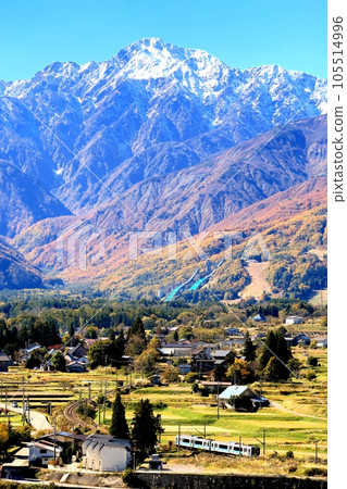 Autumn leaves in Hakuba village 105514996