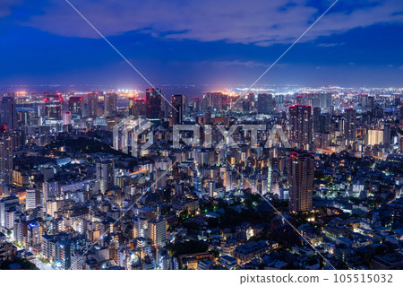 《東京》午夜、黎明前的東京城市風光 105515032