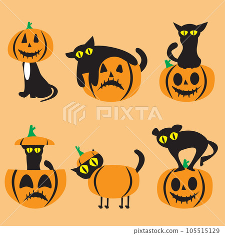 The  black cat and jack o lantern character design for halloween concept 105515129