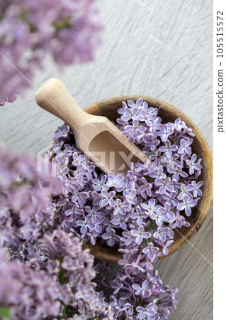 Wooden Bowl with wooden spoon of fresh purple lilac petals with branch of blooming lilac. Lilac flowers fragrance. Concept for spa wellness and aromatherapy. Copy space Still life composition Wooden Bowl with wooden spoon of fresh purple lilac petals with branch of blooming lilac. Lilac flowers fragrance. Concept for spa wellness and aromatherapy. Copy space Still life composition 105515572