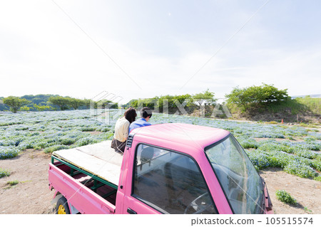 Nemophila 花田、情侶和粉色輕型卡車 Nemophila 花田、情侶和粉色輕型卡車 105515574
