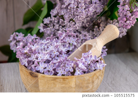 Wooden Bowl with wooden spoon of fresh purple lilac petals with branch of blooming lilac. Lilac flowers fragrance. Concept for spa wellness and aromatherapy. Copy space Still life composition Wooden Bowl with wooden spoon of fresh purple lilac petals with branch of blooming lilac. Lilac flowers fragrance. Concept for spa wellness and aromatherapy. Copy space Still life composition 105515575