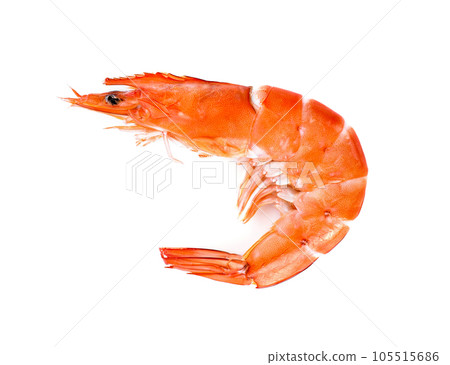 Boiled shrimp isolated on a white background. top view Boiled shrimp isolated on a white background. top view 105515686
