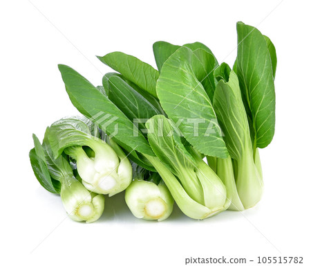 Bok choy (chinese cabbage) isolated on white. 105515782