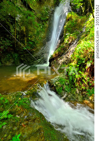 《Gifu Prefecture》Kawabe Town Nanten Waterfall with fresh greenery 《Gifu Prefecture》Kawabe Town Nanten Waterfall with fresh greenery 105515852