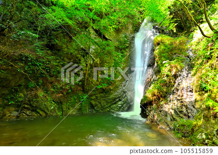 《Gifu Prefecture》Kawabe Town Nanten Waterfall with fresh greenery 《Gifu Prefecture》Kawabe Town Nanten Waterfall with fresh greenery 105515859