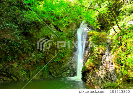 《岐阜縣》綠意盎然的河邊町南天瀑布 《岐阜縣》綠意盎然的河邊町南天瀑布 105515860