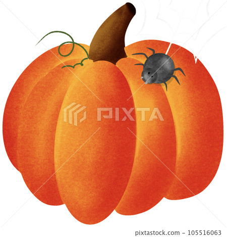 Halloween party. Pumpkin and spider. Halloween party. Pumpkin and spider. 105516063