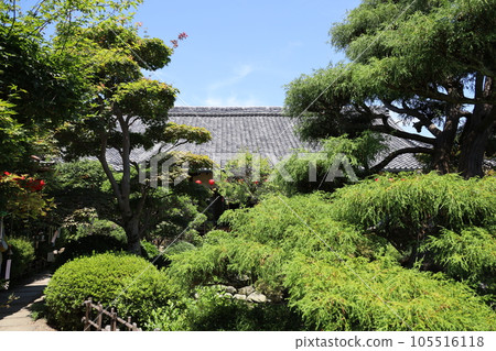 綠意盎然的庭園“大利用觀音” 綠意盎然的庭園“大利用觀音” 105516118