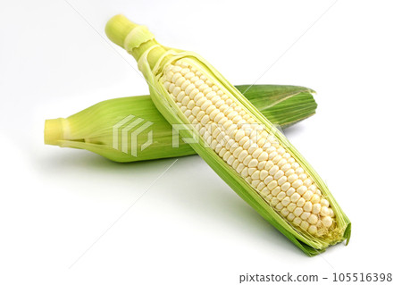 Corn (pure white) Corn (pure white) 105516398