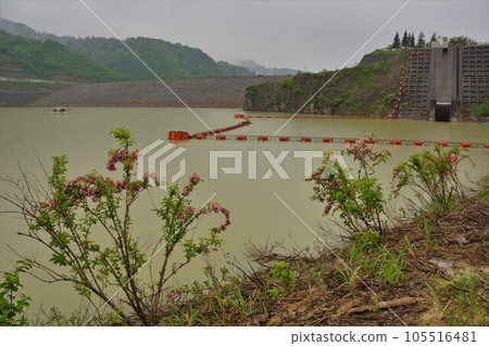 Embankment of Oya Dam and Lake Himesayuri 105516481