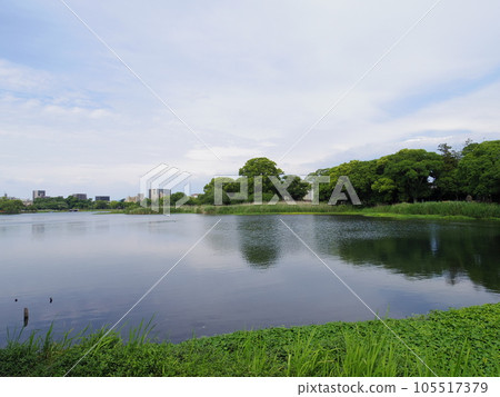 江津湖(熊本縣熊本市) 江津湖(熊本縣熊本市) 105517379