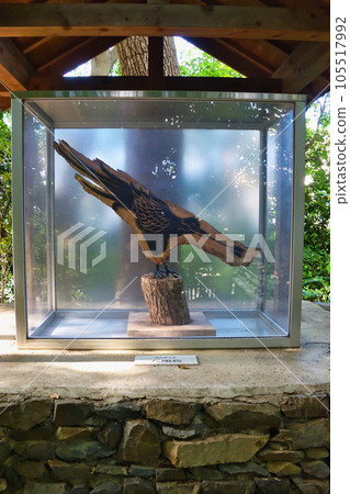 新熊野神社京都熊野古道(京都市東山區) 新熊野神社京都熊野古道(京都市東山區) 105517992