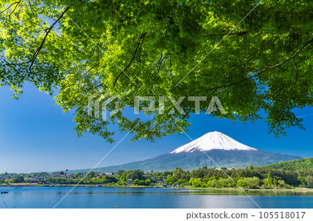 【山梨縣】初夏的富士山、河口湖畔的新綠 105518017