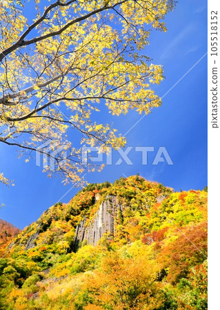 秋山鄉Fuiwa的秋葉 105518152