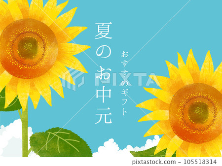 夏日夏日禮物插畫向日葵和夏日天空 105518314