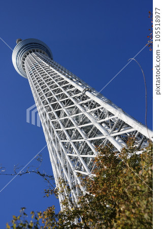 Scenery of Tokyo Skytree in the blue sky in autumn 105518977
