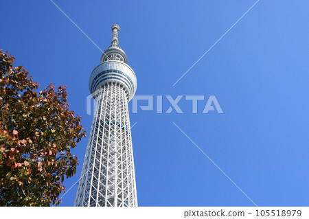 東京晴空塔秋季藍天風景 105518979