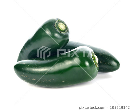 mexican green chili isolated on white background. 105519342