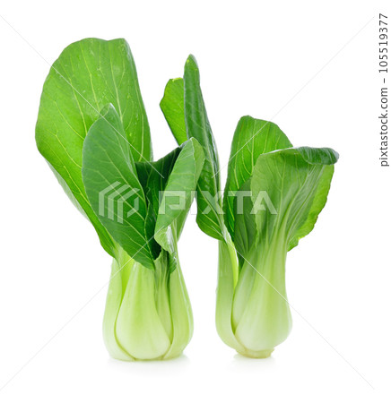 Bok choy (chinese cabbage) isolated on white 105519377