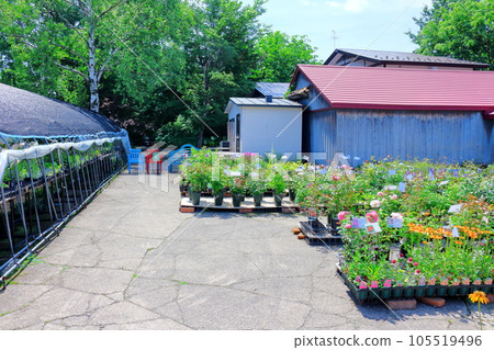 Hokkaido Travelogue June Ueno Farm Morning Garden Hokkaido Travelogue June Ueno Farm Morning Garden 105519496