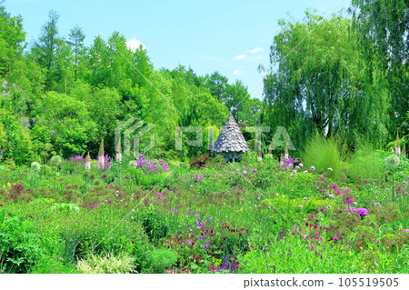 Hokkaido Travelogue June Ueno Farm Morning Garden Hokkaido Travelogue June Ueno Farm Morning Garden 105519505