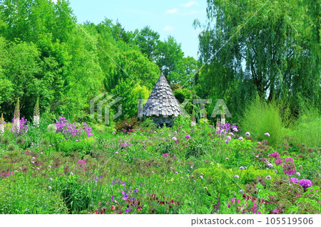 Hokkaido Travelogue June Ueno Farm Morning Garden Hokkaido Travelogue June Ueno Farm Morning Garden 105519506