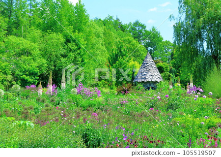 Hokkaido Travelogue June Ueno Farm Morning Garden 105519507