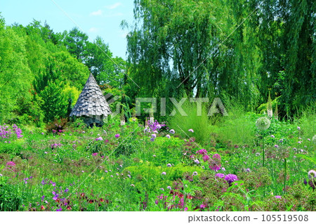 Hokkaido Travelogue June Ueno Farm Morning Garden Hokkaido Travelogue June Ueno Farm Morning Garden 105519508
