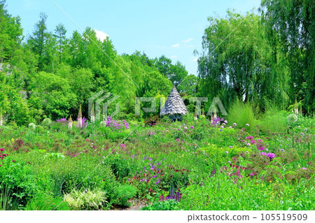 Hokkaido Travelogue June Ueno Farm Morning Garden 105519509