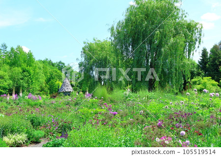 Hokkaido Travelogue June Ueno Farm Morning Garden 105519514
