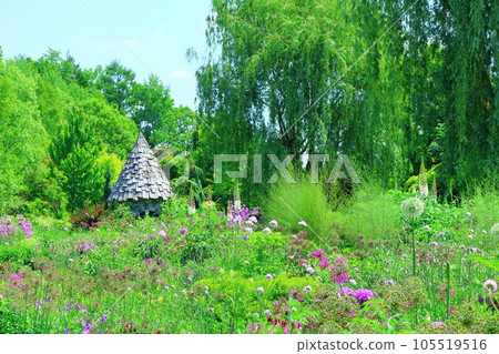 Hokkaido Travelogue June Ueno Farm Morning Garden Hokkaido Travelogue June Ueno Farm Morning Garden 105519516