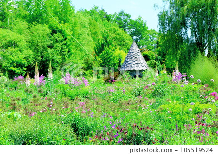 Hokkaido Travelogue June Ueno Farm Morning Garden 105519524