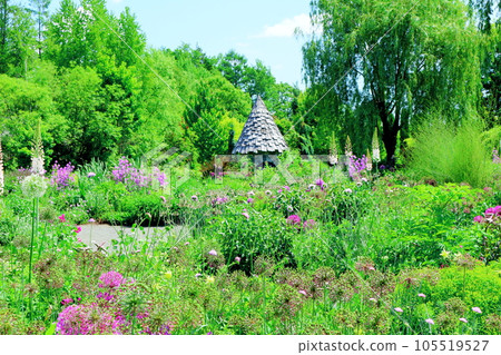 北海道遊記六月上野農場晨園 北海道遊記六月上野農場晨園 105519527
