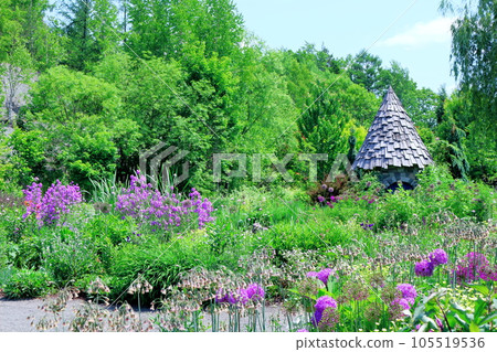 Hokkaido Travelogue June Ueno Farm Morning Garden 105519536