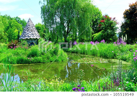 北海道遊記六月上野農場晨園 105519549