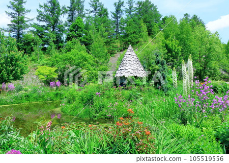Hokkaido Travelogue June Ueno Farm Morning Garden 105519556