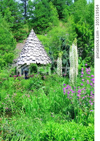 Hokkaido Travelogue June Ueno Farm Morning Garden 105519564