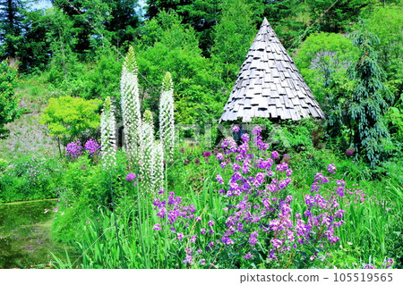 Hokkaido Travelogue June Ueno Farm Morning Garden Hokkaido Travelogue June Ueno Farm Morning Garden 105519565