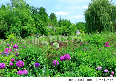 Hokkaido Travelogue June Ueno Farm Morning Garden Hokkaido Travelogue June Ueno Farm Morning Garden 105519656