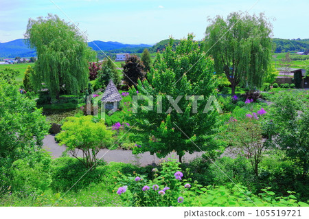 Hokkaido Travelogue June Ueno Farm Morning Garden 105519721