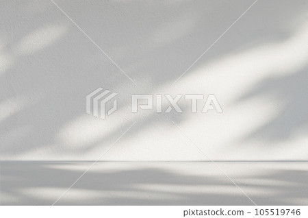 Gray cement background in empty room with light and shadow. 105519746
