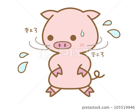 A pig looking around restlessly A pig looking around restlessly 105519946