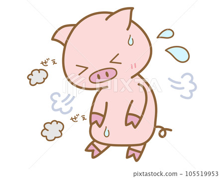 A pig that is short of breath A pig that is short of breath 105519953